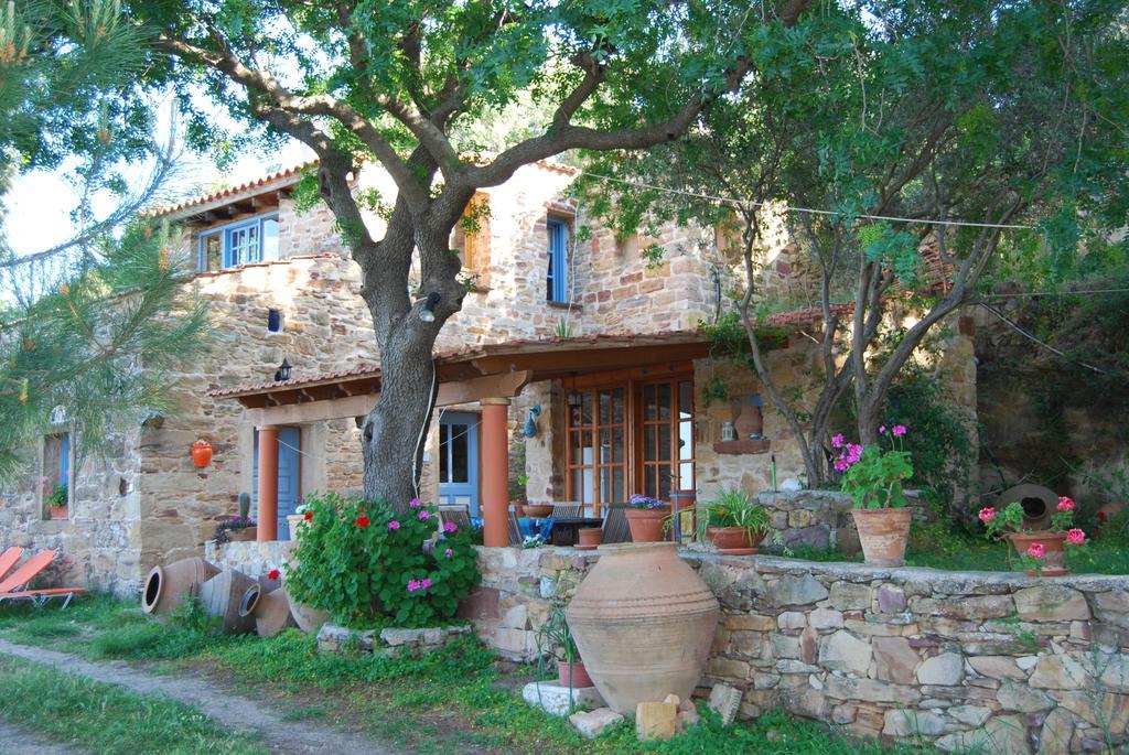 Villa Spiti Elaionas Karfas Exterior foto